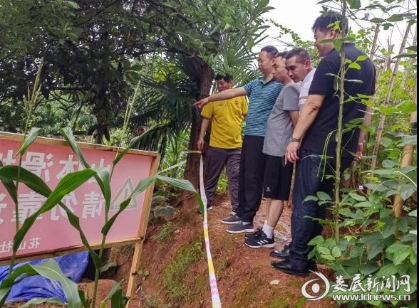 （区人大代表、街道党工委书记阳峰组织人大代表查看花山社区山体滑坡地质灾害点。）