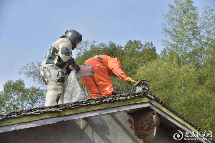 （图为7月12日，双峰县杏子铺镇消防队为村民销除土蜂窝。）