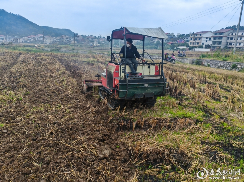 微信图片_20241011100126