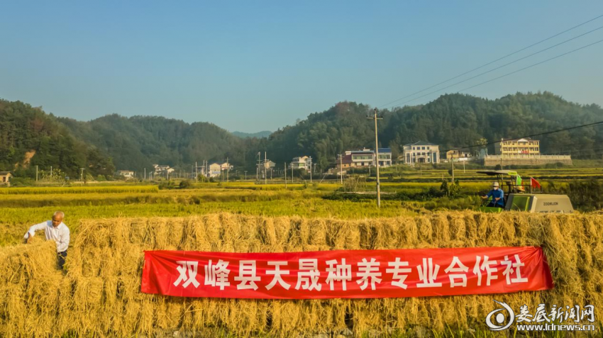 图片2