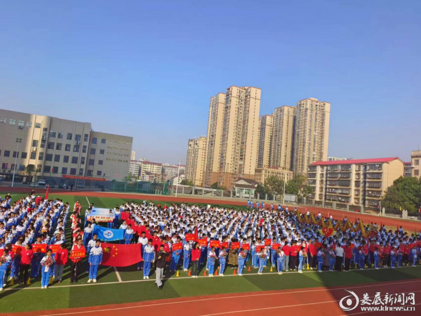 图片2