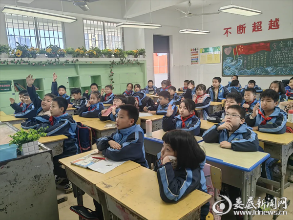 图片4