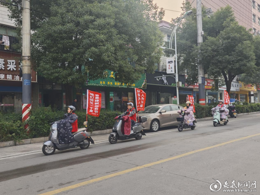 图片6