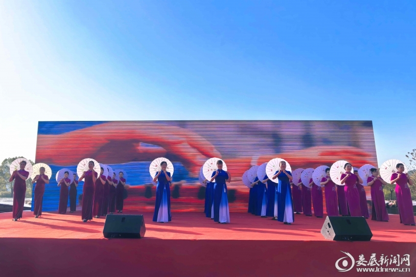 图片1