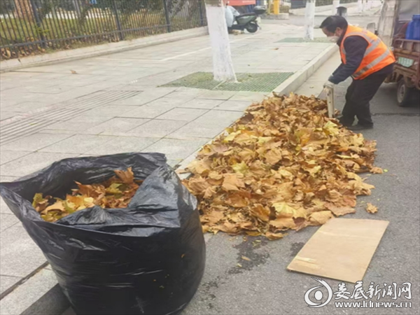 微信截图_20241225120401