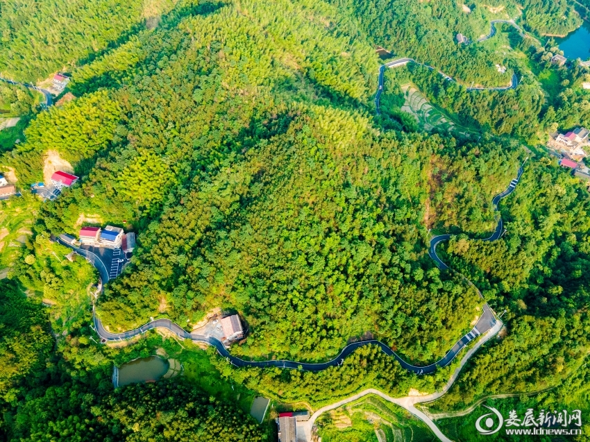 微信图片_20250109191506