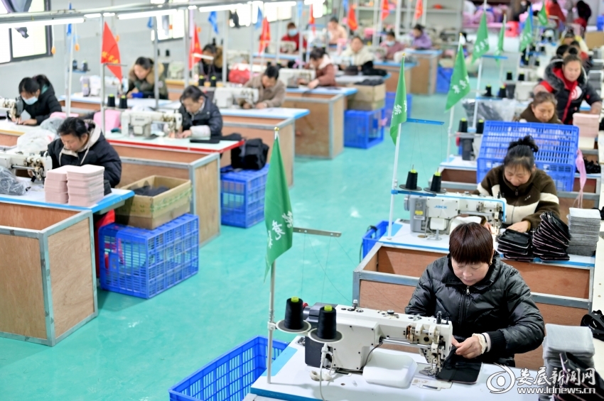 微信图片_20250109191724