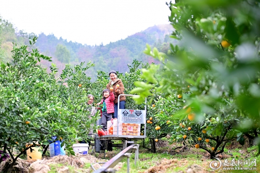 微信图片_20250109191154