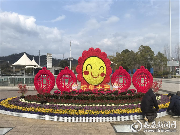 图片1