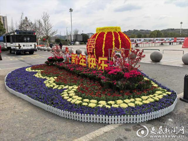 图片2