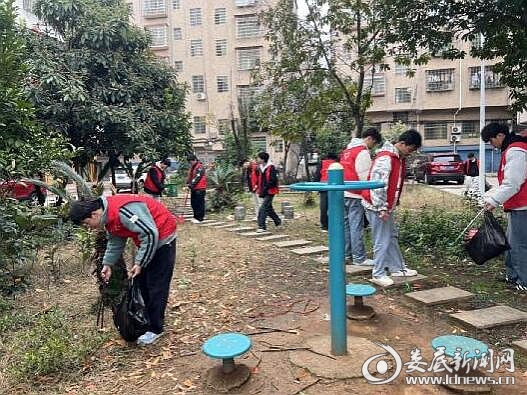 QQ截图20250306164624