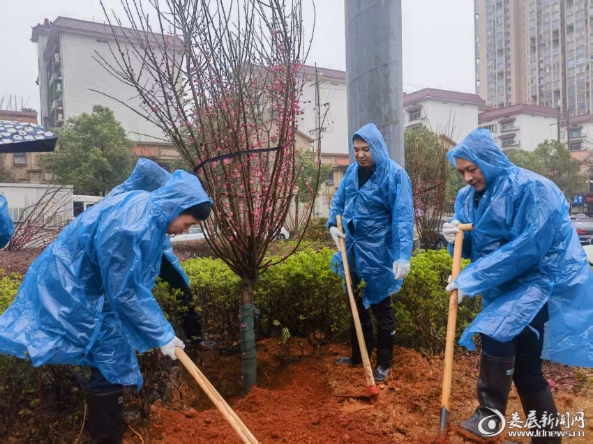 微信图片_20250313160952