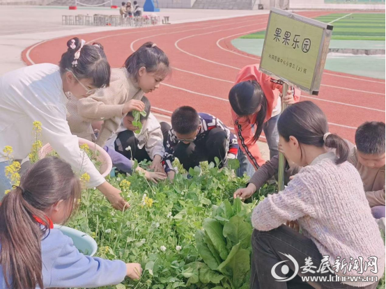 fcbc9cc7d94b78246bd3c19fb32776d