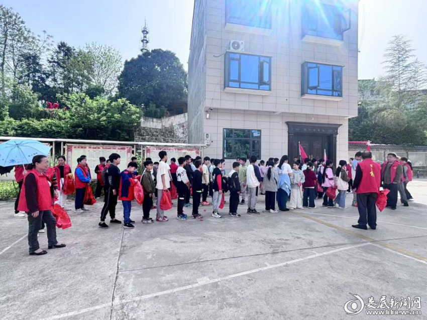 图片6