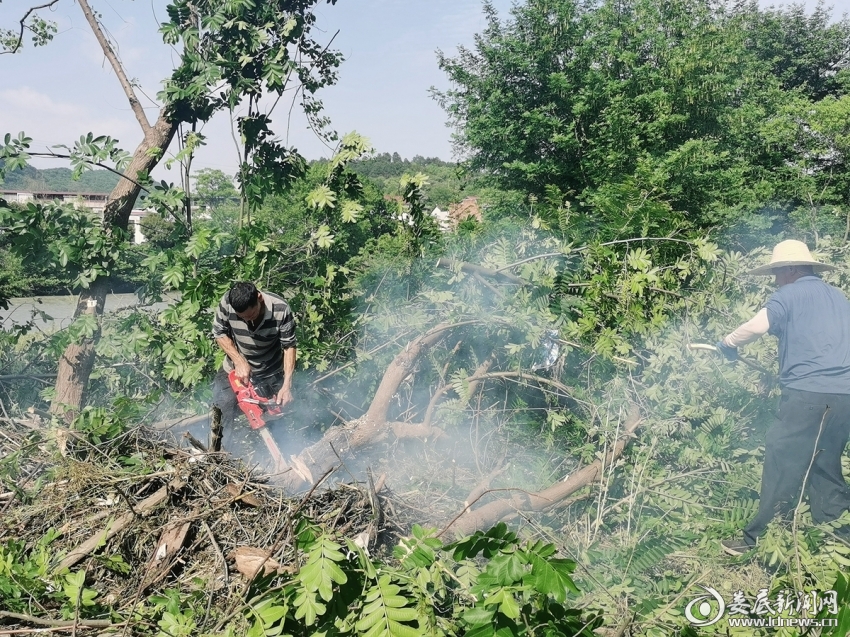 微信图片_20250427085945