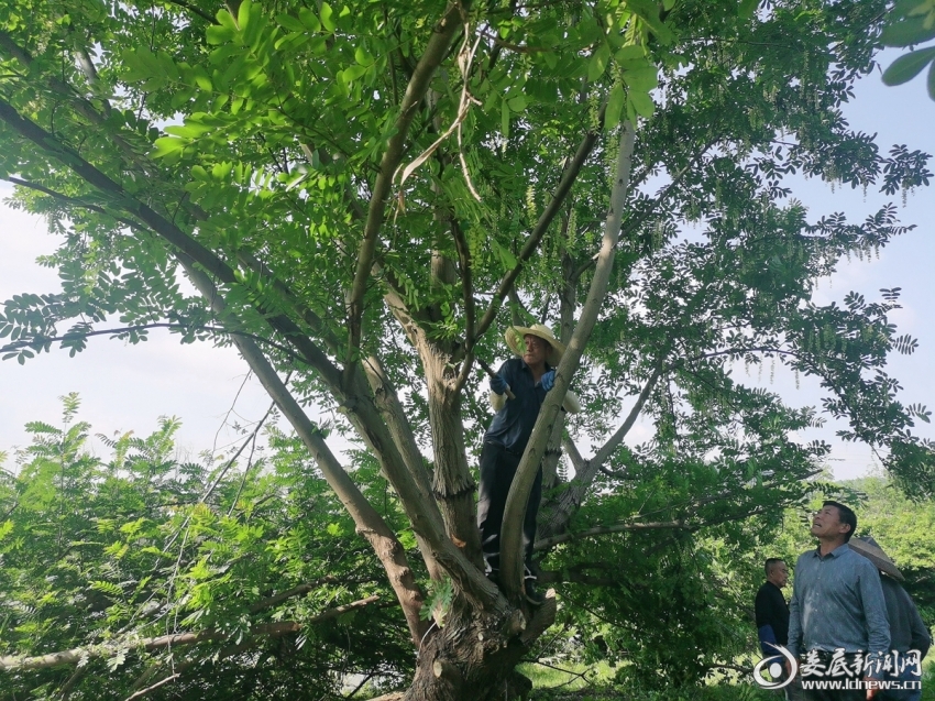 微信图片_20250427085808