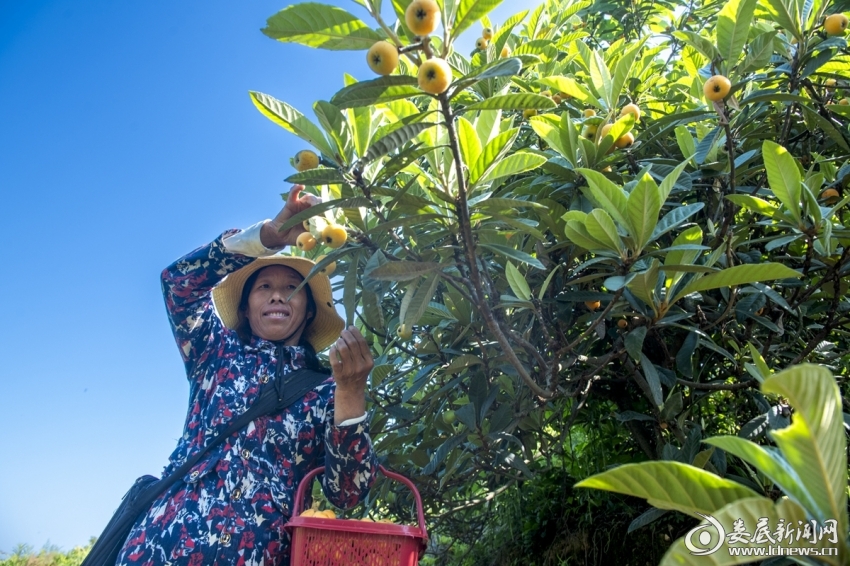 微信图片_20250512150555