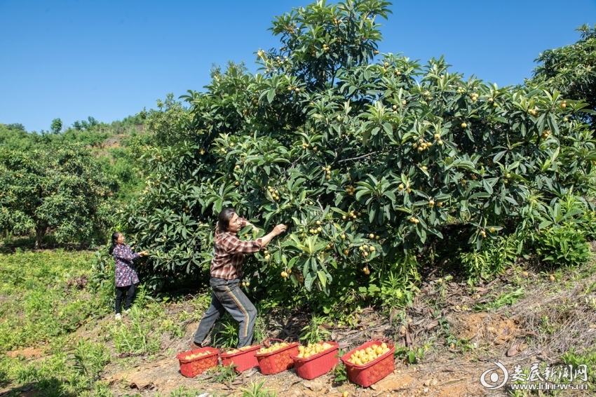 微信图片_20250512150617