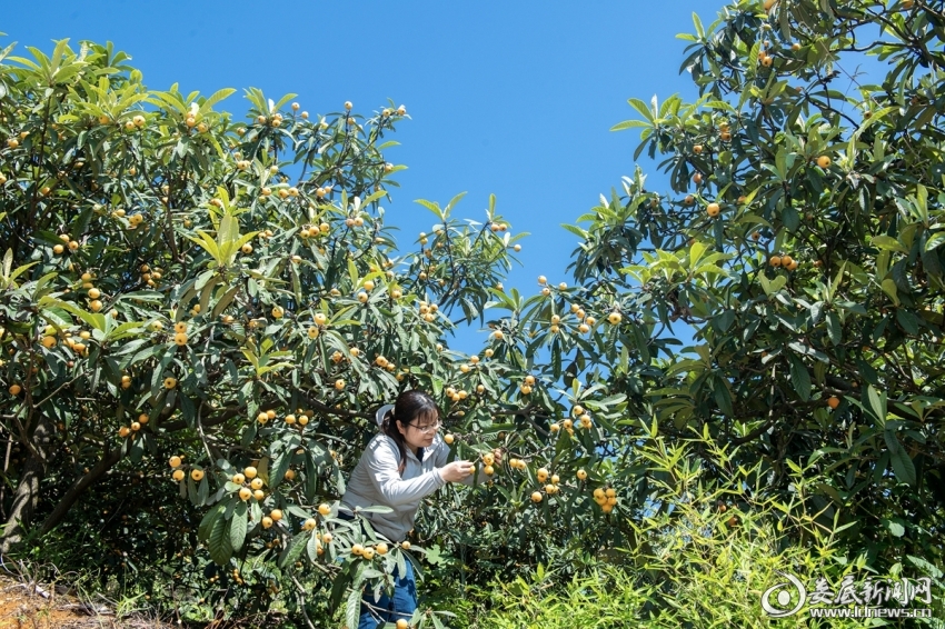 微信图片_20250512150622