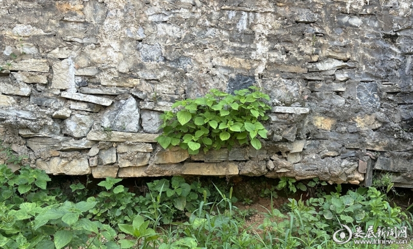 微信截图_20250515150825