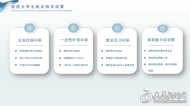图片8