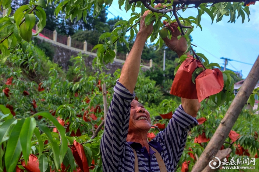 微信图片_20250604151842