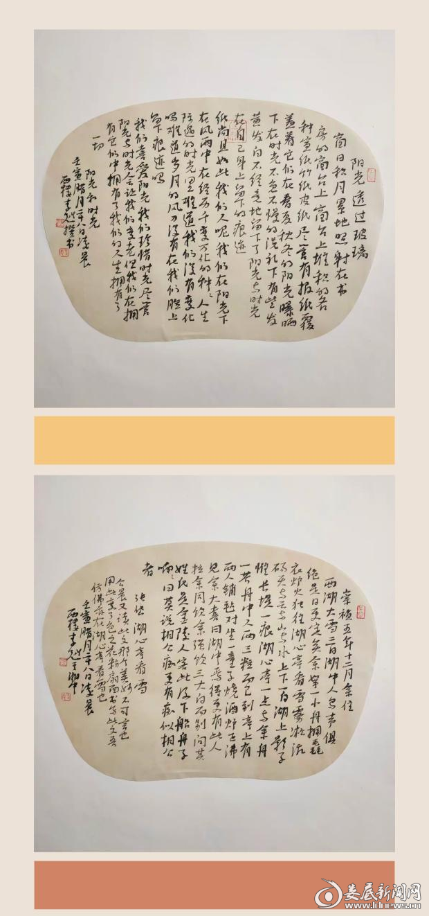 图片5