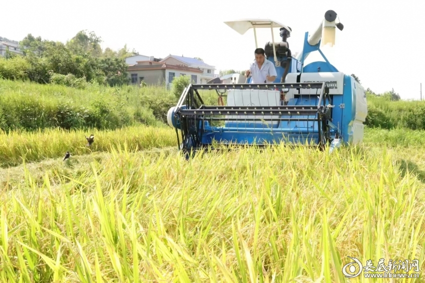 微信图片_20250721092012