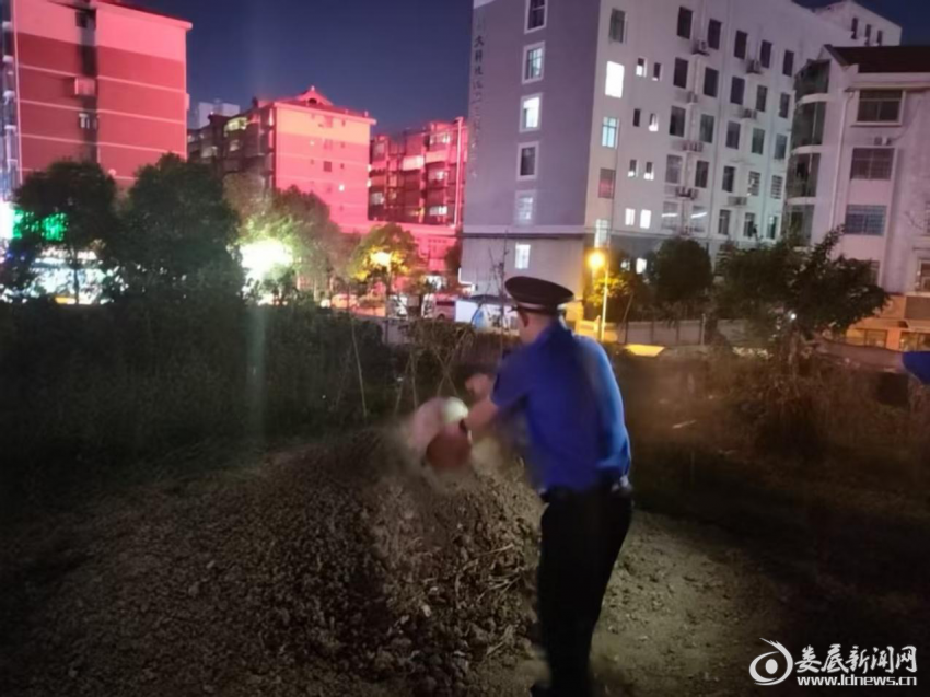 图片3