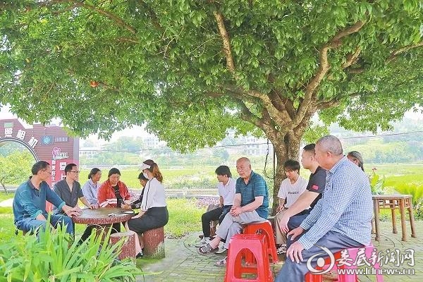 （娄星区人民法院法官与市人大代表、政协委员共同调解案件）