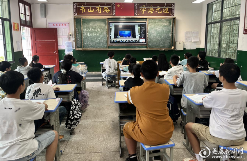 图片3