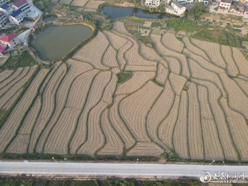 微信图片_20251009143856_217_49