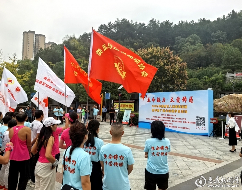 微信图片_20251012171744_82_29