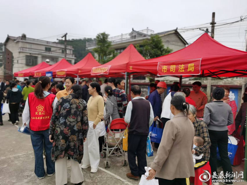 图片3