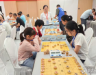 湖南省第四届县级象棋团体赛在娄底圆满落幕