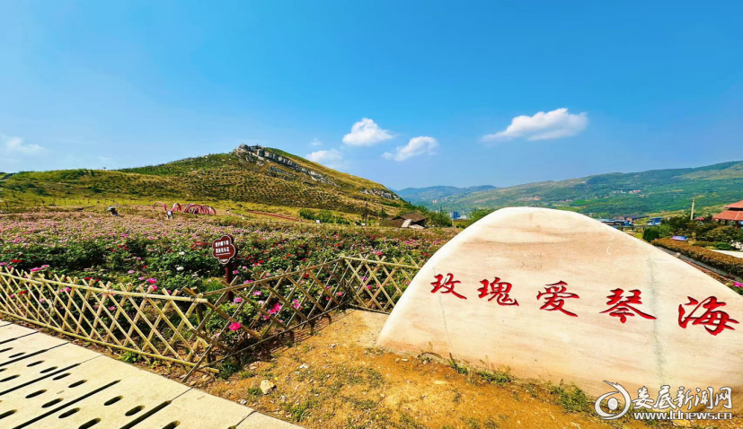 图片 11