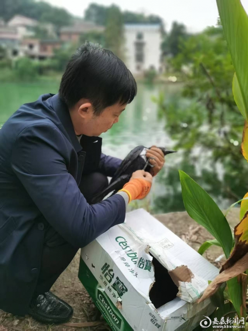 微信图片_20251030111034_117_68