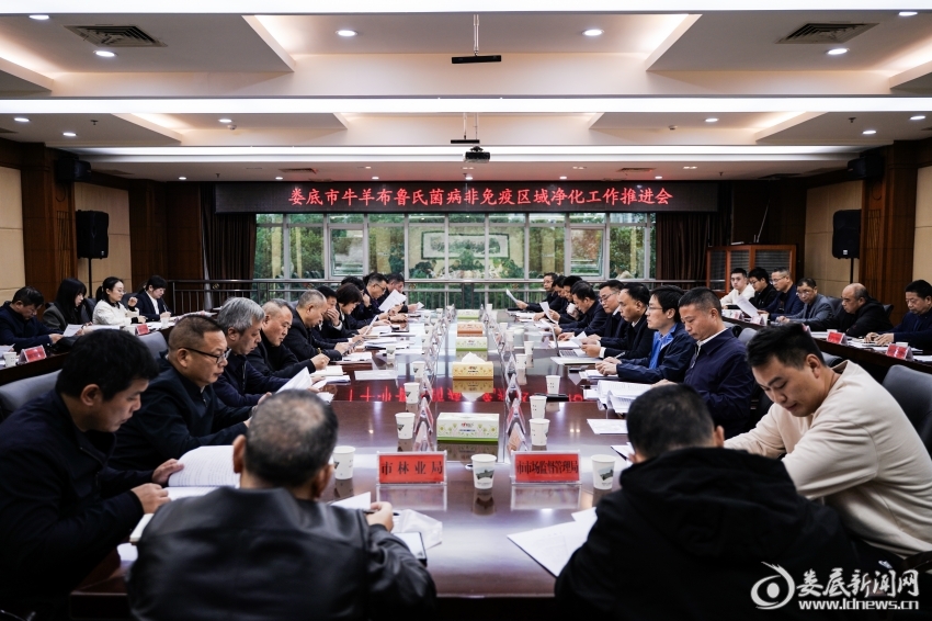 微信图片_20251104142944_650_237