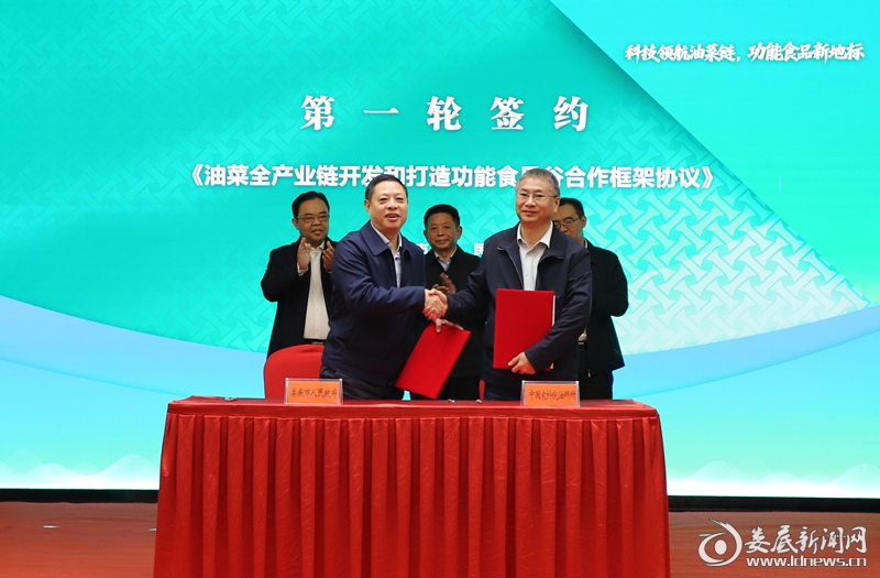 IMG_7290_副本_副本