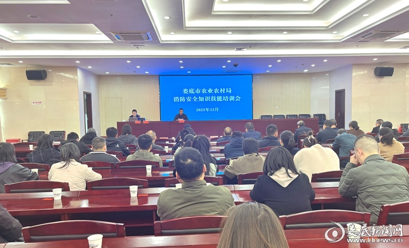 20251205154638_154_216