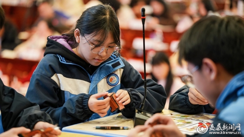 DSC01415-opq4179015113