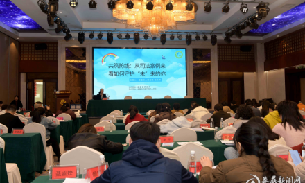 娄星区法院：共筑法治防线 护航未成年人健康成长