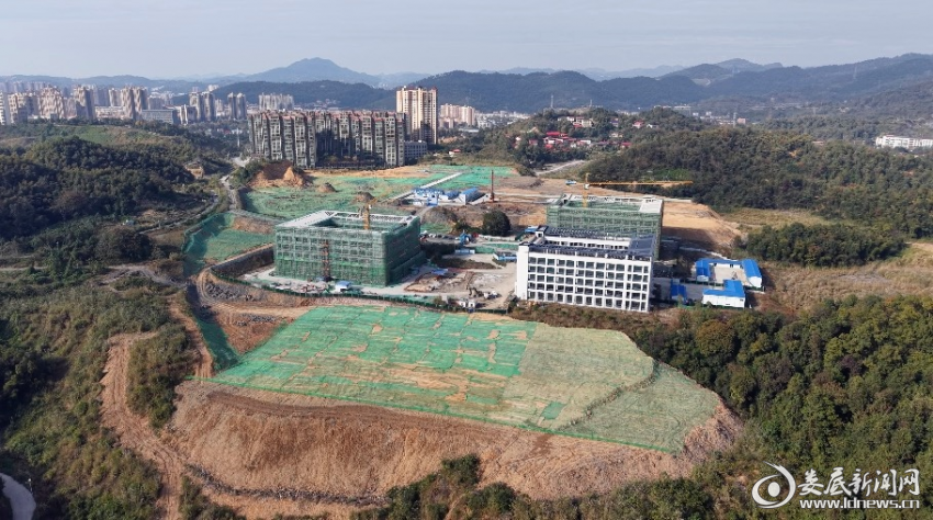 微信图片_2025-12-19_085335_130