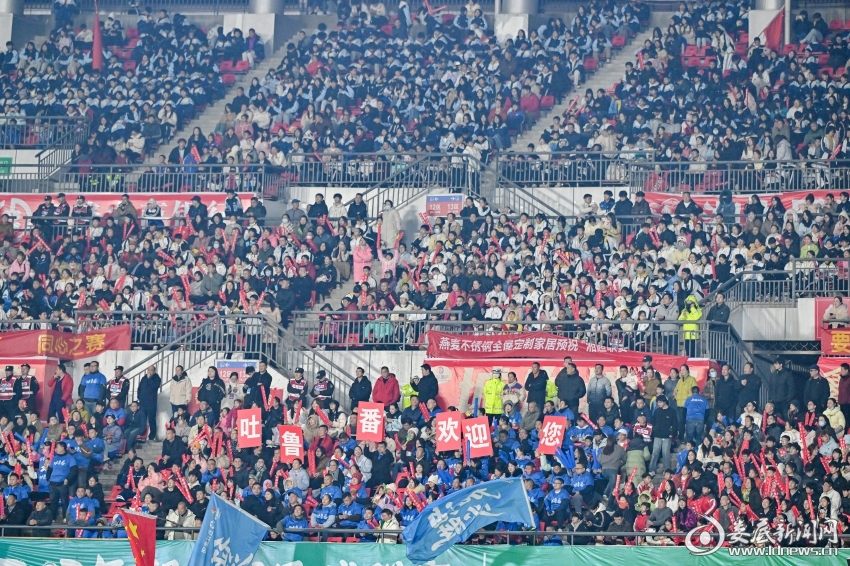 material_694d253e636d2