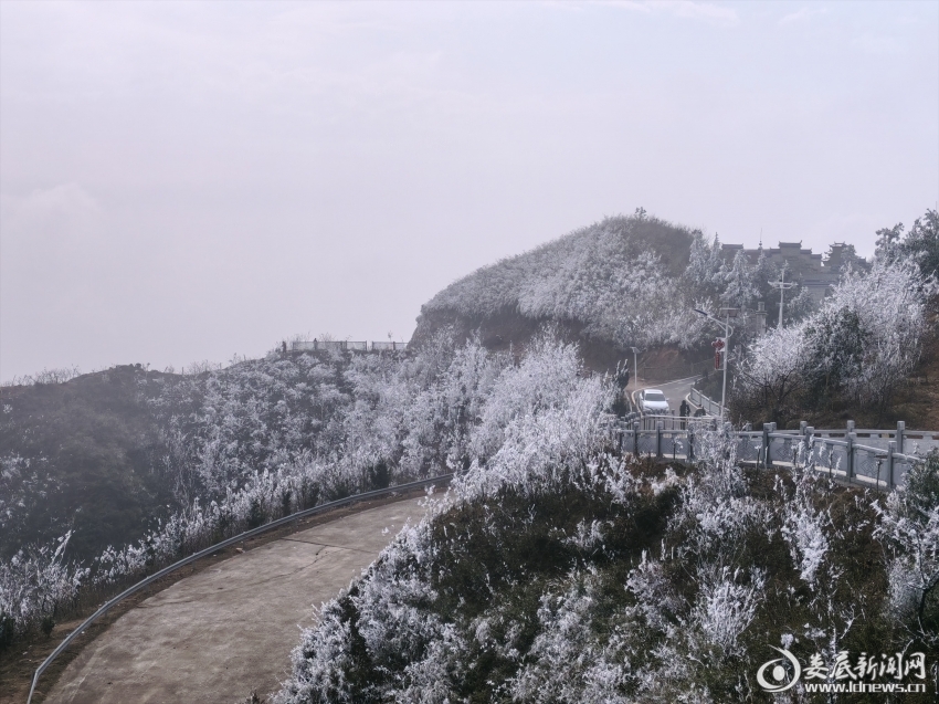 微信图片_20260114162946_10_2