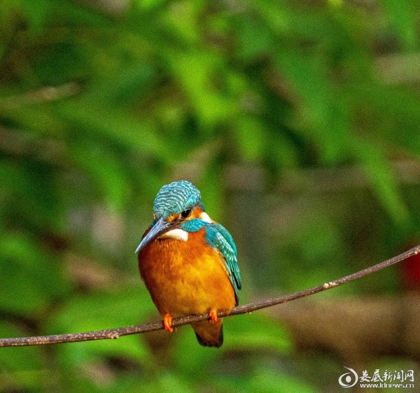 微信图片_20260114170246_11_2