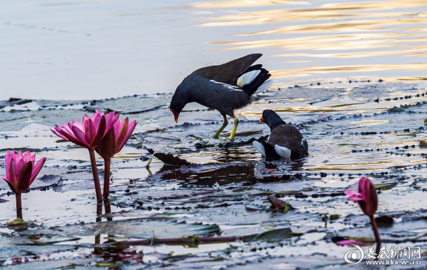 微信图片_20260114171823_12_2