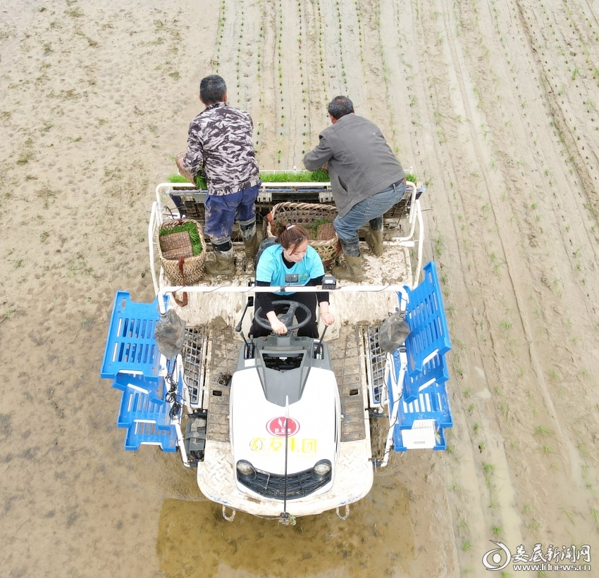 微信图片_20260127141152