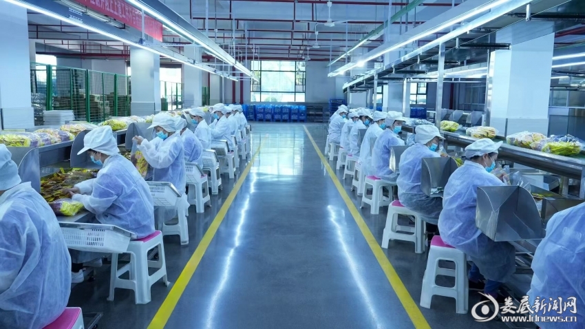 微信图片_20260130160912_299_72