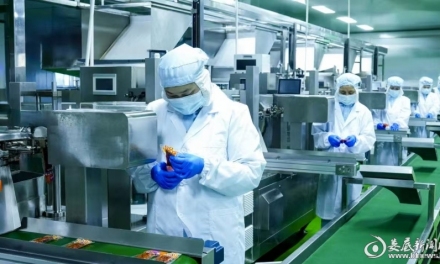 “匠”心娄底丨湖南省优秀乡村车间企业家邬文明：绿色农业产业化赋能乡村发展